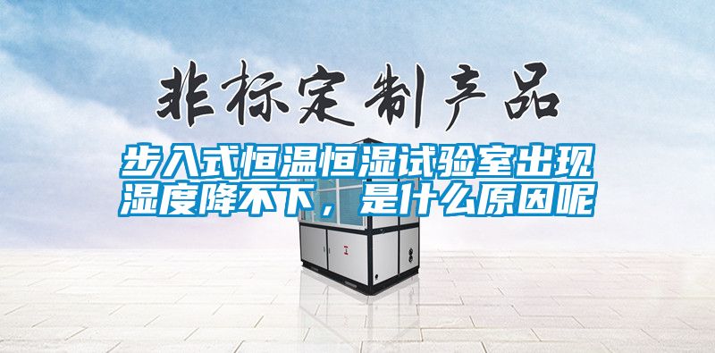 步入式恒溫恒濕試驗(yàn)室出現(xiàn)濕度降不下，是什么原因呢