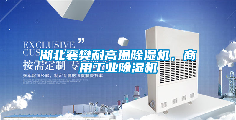 湖北襄樊耐高溫除濕機(jī)，商用工業(yè)除濕機(jī)