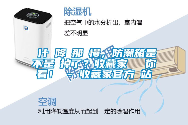 為什麼降濕那麼慢，防潮箱是不是壞掉了？收藏家實(shí)測(cè)給你看！ - 收藏家官方網(wǎng)站
