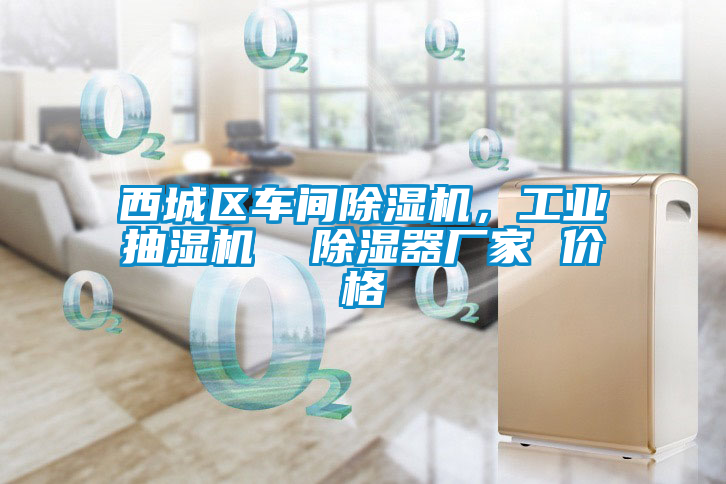 西城區(qū)車間除濕機(jī)，工業(yè)抽濕機(jī)  除濕器廠家 價(jià)格