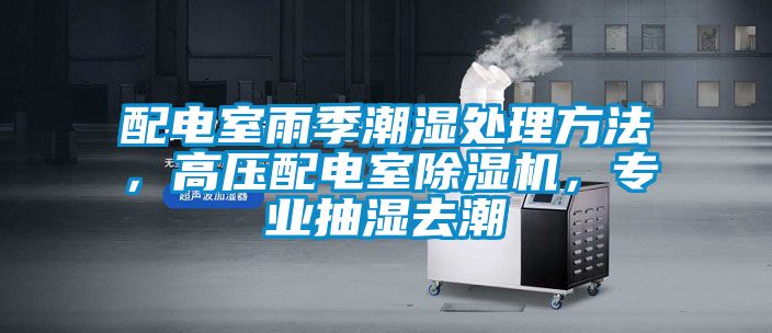 配電室雨季潮濕處理方法，高壓配電室除濕機(jī)，專業(yè)抽濕去潮