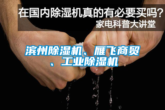 濱州除濕機、雁飛商貿(mào)、工業(yè)除濕機