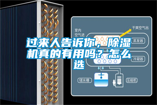 過來人告訴你，除濕機真的有用嗎？怎么選