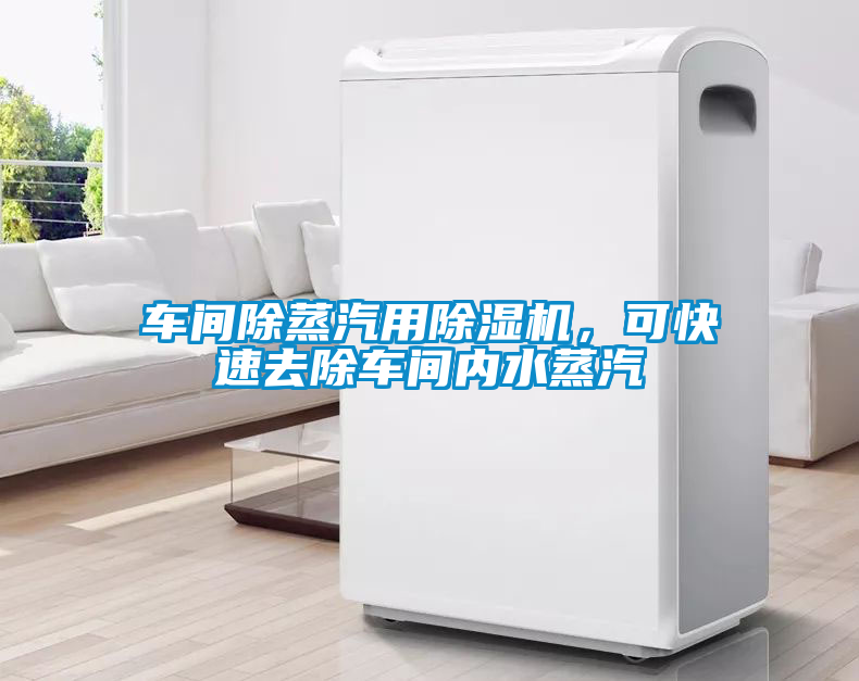 車間除蒸汽用除濕機(jī)，可快速去除車間內(nèi)水蒸汽