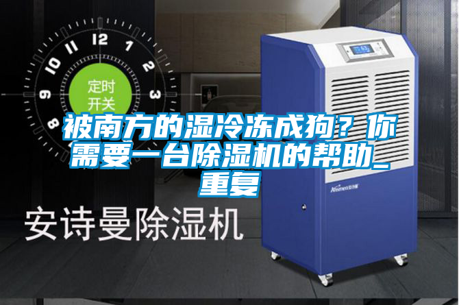 被南方的濕冷凍成狗？你需要一臺除濕機的幫助_重復