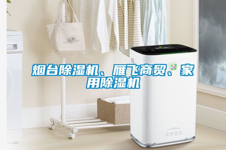 煙臺(tái)除濕機(jī)、雁飛商貿(mào)、家用除濕機(jī)