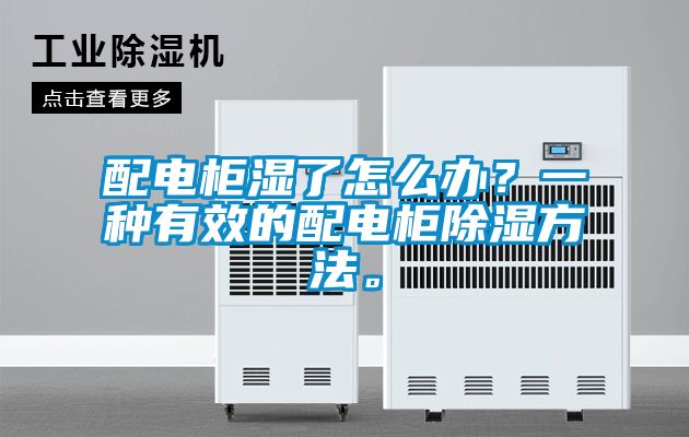 配電柜濕了怎么辦？一種有效的配電柜除濕方法。