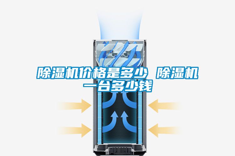 除濕機(jī)價(jià)格是多少 除濕機(jī)一臺(tái)多少錢(qián)