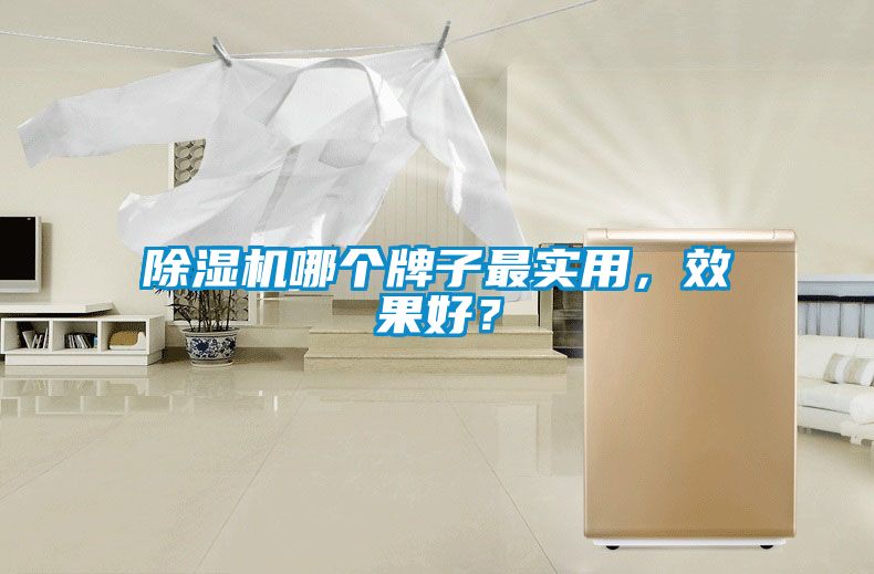 除濕機(jī)哪個牌子最實(shí)用，效果好？