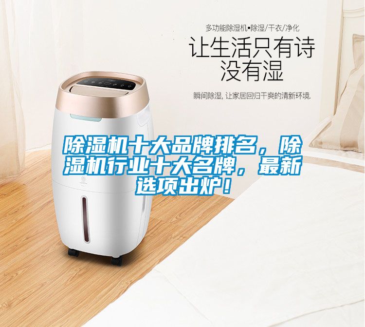 除濕機(jī)十大品牌排名，除濕機(jī)行業(yè)十大名牌，最新選項(xiàng)出爐！