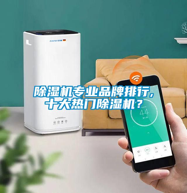 除濕機(jī)專業(yè)品牌排行,十大熱門除濕機(jī)？