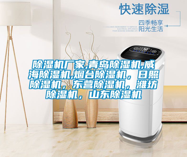 除濕機(jī)廠家,青島除濕機(jī),威海除濕機(jī),煙臺除濕機(jī)，日照除濕機(jī)，東營除濕機(jī)，濰坊除濕機(jī)，山東除濕機(jī)