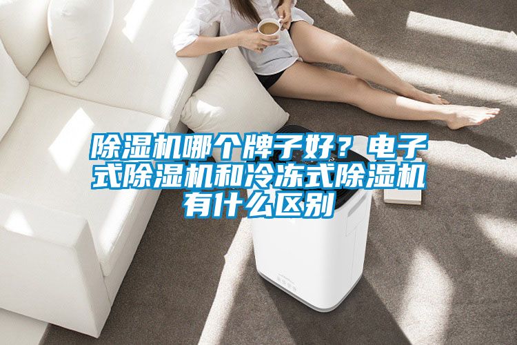 除濕機(jī)哪個(gè)牌子好？電子式除濕機(jī)和冷凍式除濕機(jī)有什么區(qū)別