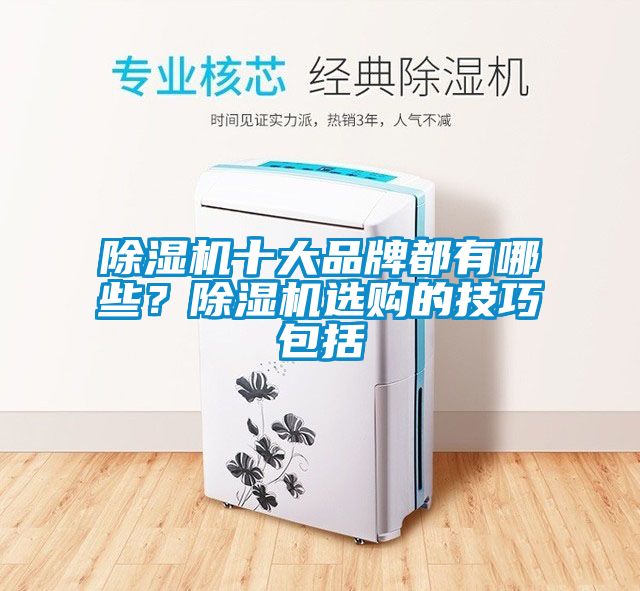 除濕機(jī)十大品牌都有哪些？除濕機(jī)選購的技巧包括
