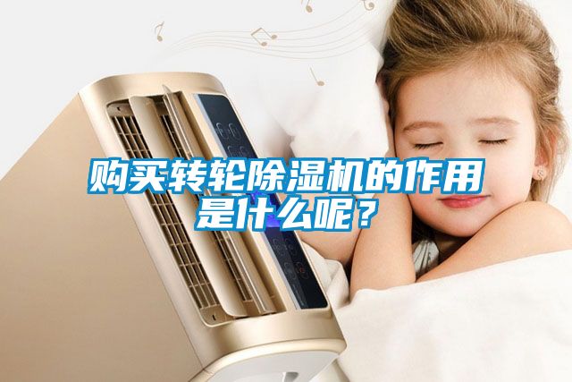 購(gòu)買轉(zhuǎn)輪除濕機(jī)的作用是什么呢？