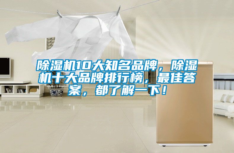 除濕機10大知名品牌，除濕機十大品牌排行榜，最佳答案，都了解一下！