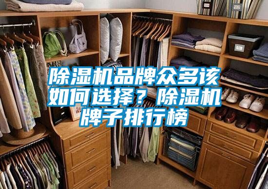 除濕機(jī)品牌眾多該如何選擇？除濕機(jī)牌子排行榜