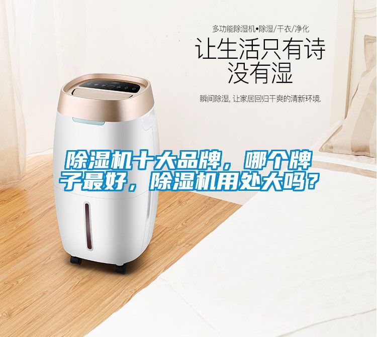 除濕機(jī)十大品牌，哪個(gè)牌子最好，除濕機(jī)用處大嗎？