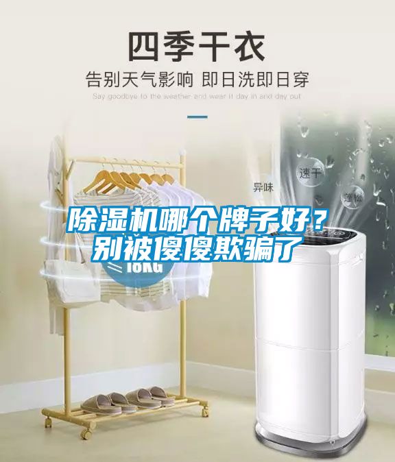 除濕機(jī)哪個(gè)牌子好？別被傻傻欺騙了