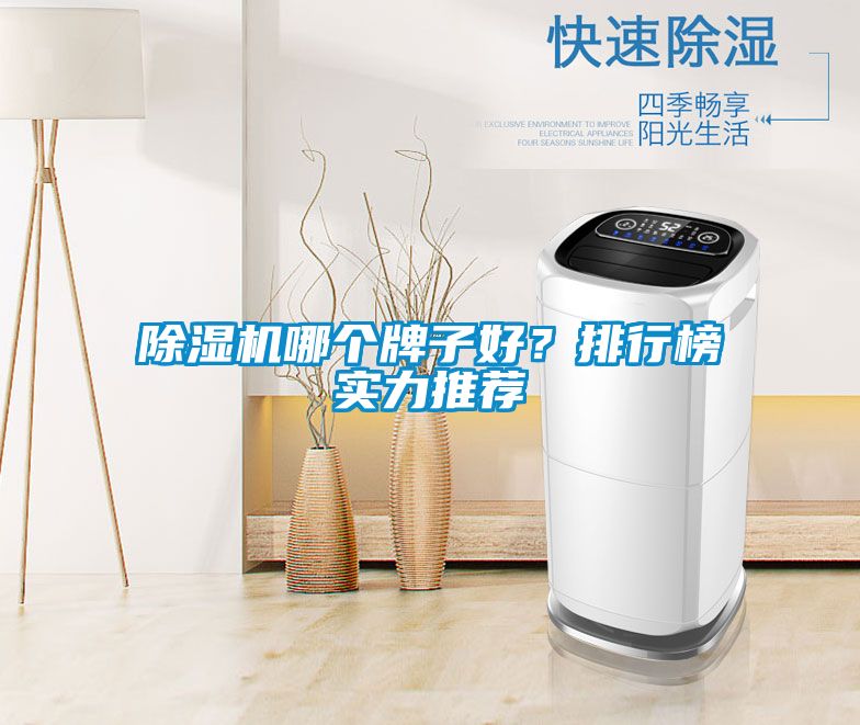 除濕機(jī)哪個(gè)牌子好？排行榜實(shí)力推薦