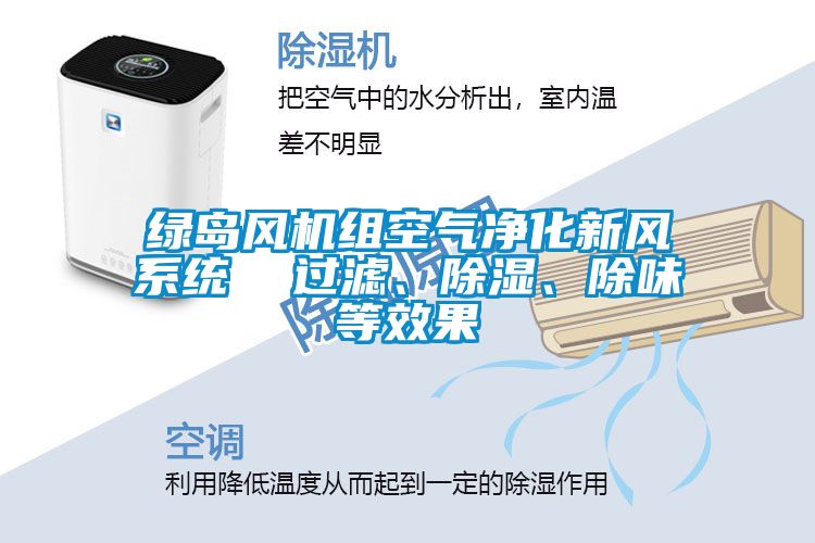 綠島風(fēng)機(jī)組空氣凈化新風(fēng)系統(tǒng)  過濾、除濕、除味等效果