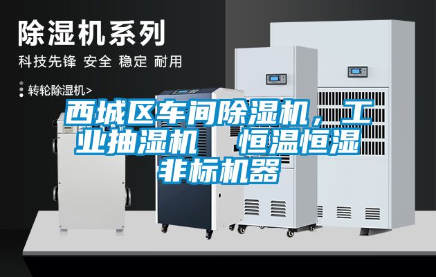 西城區(qū)車間除濕機(jī)，工業(yè)抽濕機(jī)  恒溫恒濕非標(biāo)機(jī)器