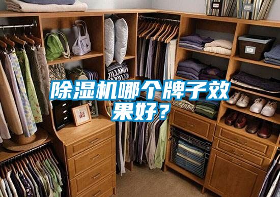 除濕機(jī)哪個(gè)牌子效果好？