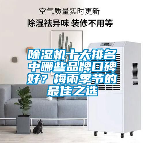 除濕機(jī)十大排名中哪些品牌口碑好？梅雨季節(jié)的最佳之選