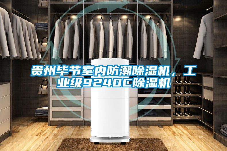 貴州畢節(jié)室內(nèi)防潮除濕機，工業(yè)級9240C除濕機