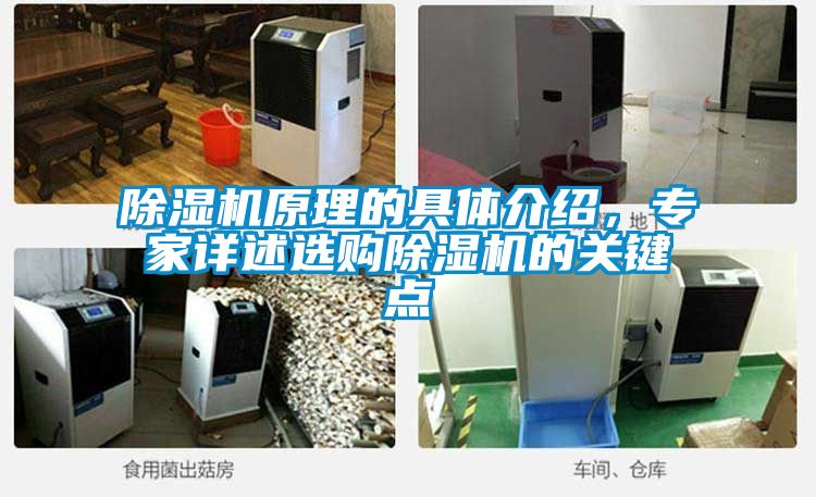 除濕機(jī)原理的具體介紹，專家詳述選購除濕機(jī)的關(guān)鍵點(diǎn)