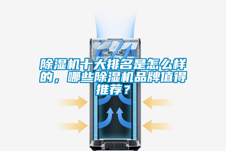 除濕機(jī)十大排名是怎么樣的，哪些除濕機(jī)品牌值得推薦？