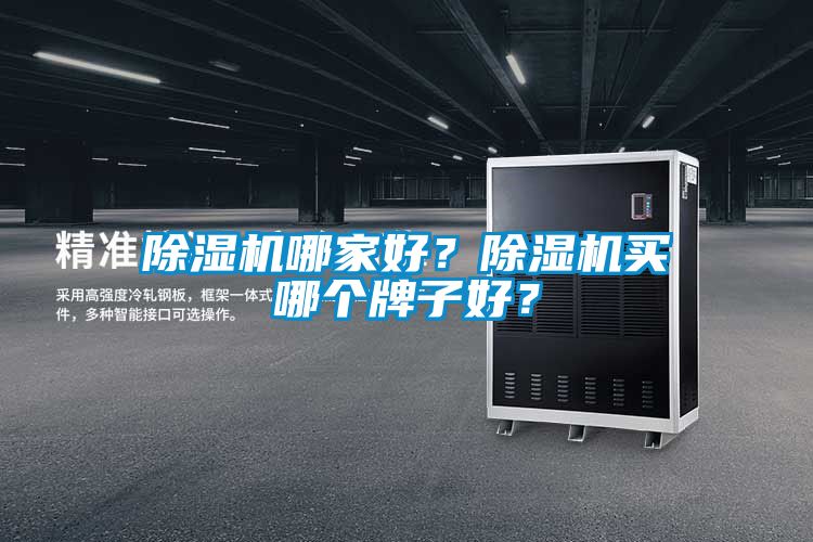 除濕機(jī)哪家好？除濕機(jī)買哪個牌子好？