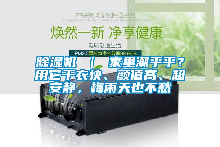 除濕機(jī) ｜ 家里潮乎乎？用它干衣快、顏值高、超安靜，梅雨天也不愁