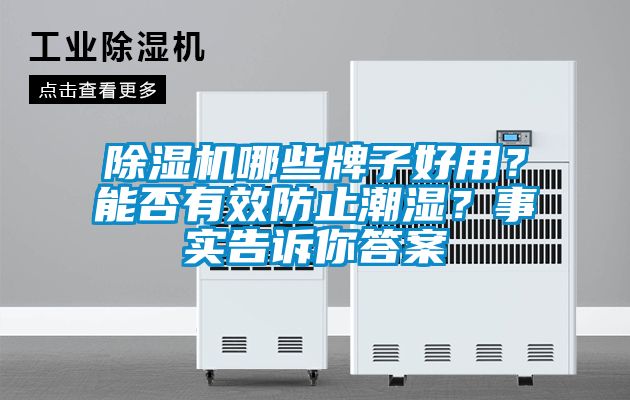 除濕機(jī)哪些牌子好用？能否有效防止潮濕？事實(shí)告訴你答案