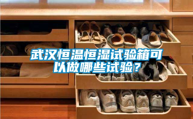 武漢恒溫恒濕試驗(yàn)箱可以做哪些試驗(yàn)？