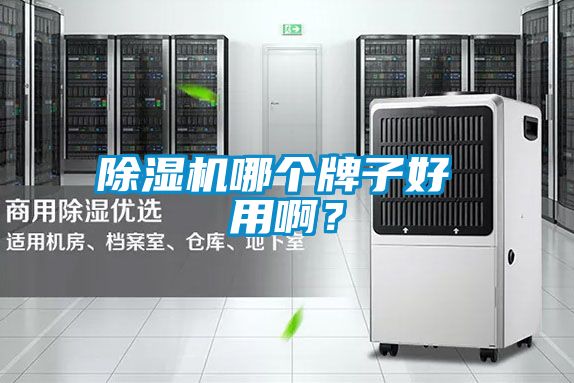 除濕機(jī)哪個(gè)牌子好 用??？