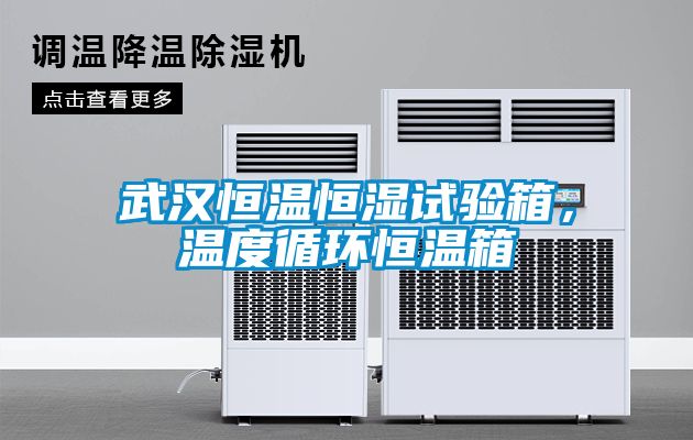 武漢恒溫恒濕試驗(yàn)箱，溫度循環(huán)恒溫箱