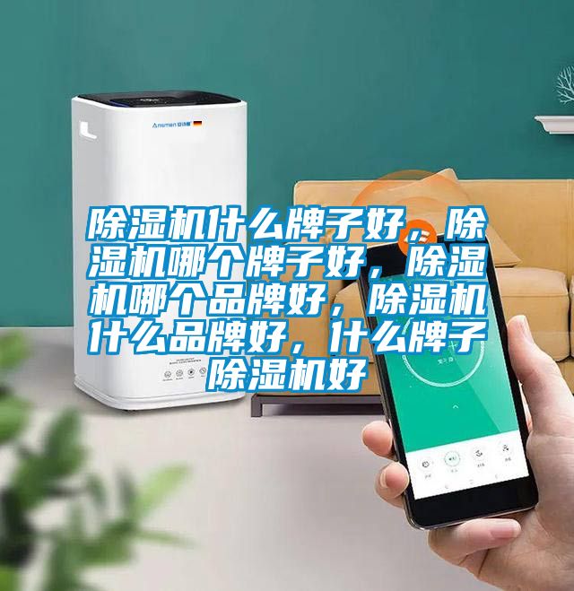 除濕機什么牌子好，除濕機哪個牌子好，除濕機哪個品牌好，除濕機什么品牌好，什么牌子除濕機好