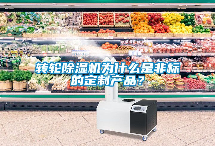 轉(zhuǎn)輪除濕機(jī)為什么是非標(biāo)的定制產(chǎn)品？