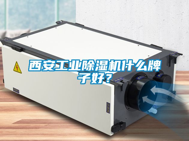 西安工業(yè)除濕機(jī)什么牌子好？