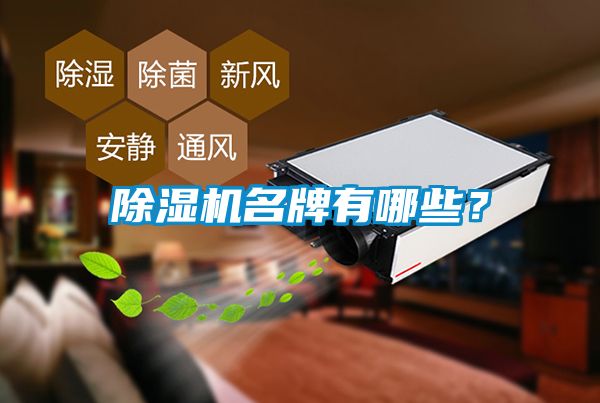 除濕機名牌有哪些？