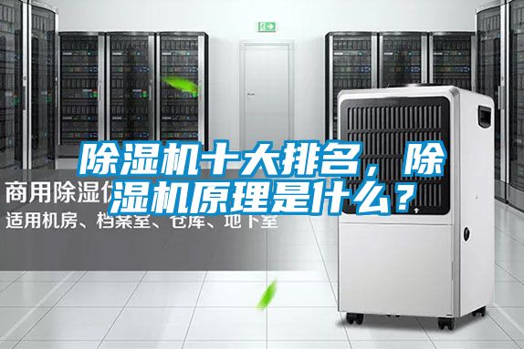 除濕機十大排名，除濕機原理是什么？