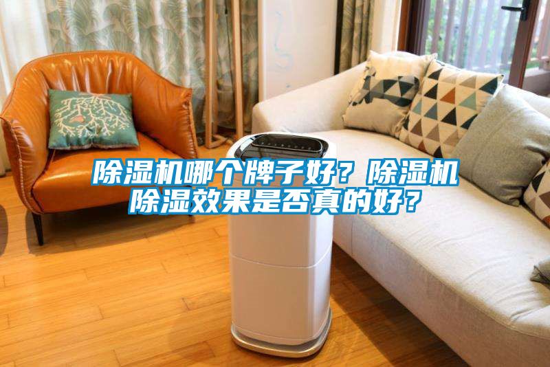 除濕機(jī)哪個(gè)牌子好？除濕機(jī)除濕效果是否真的好？
