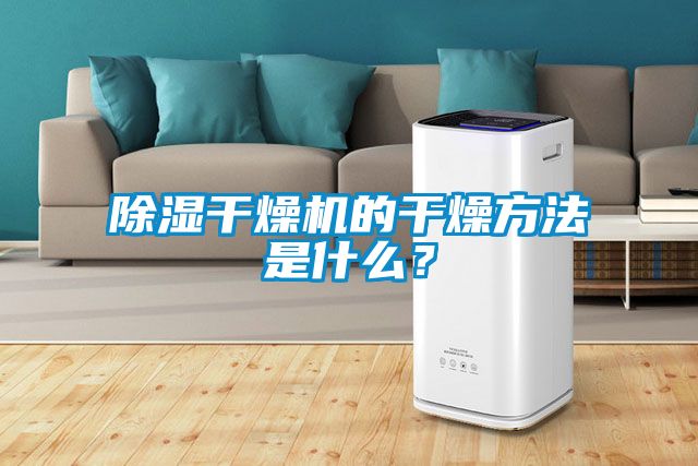 除濕干燥機(jī)的干燥方法是什么？