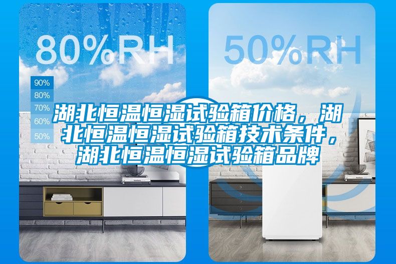 湖北恒溫恒濕試驗箱價格，湖北恒溫恒濕試驗箱技術(shù)條件，湖北恒溫恒濕試驗箱品牌
