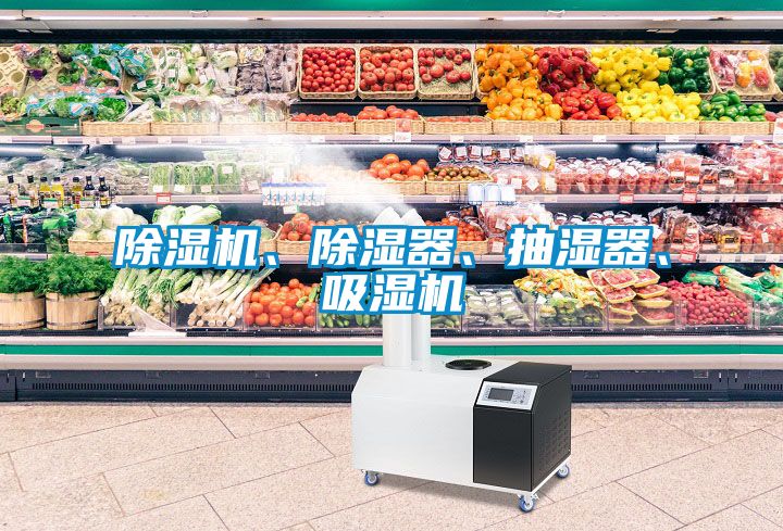 除濕機(jī)、除濕器、抽濕器、吸濕機(jī)