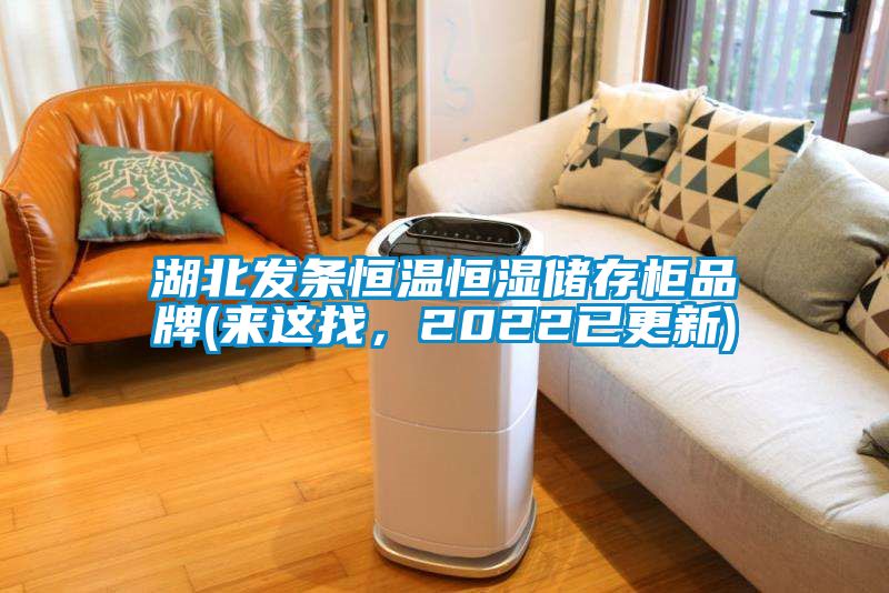 湖北發(fā)條恒溫恒濕儲(chǔ)存柜品牌(來(lái)這找，2022已更新)