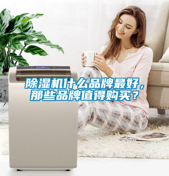 除濕機什么品牌最好，那些品牌值得購買？