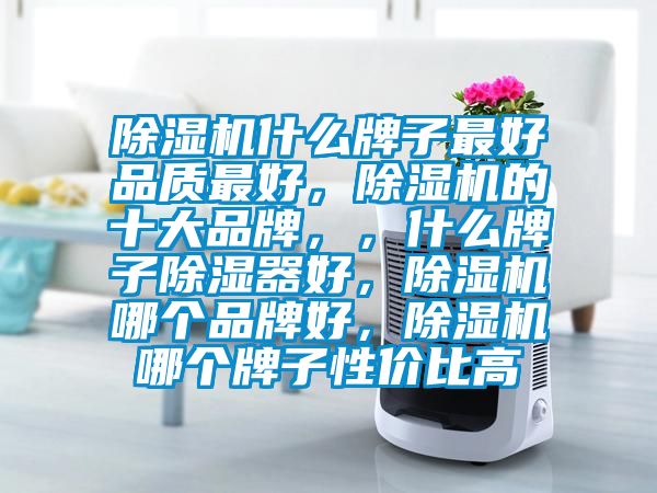 除濕機什么牌子最好品質(zhì)最好，除濕機的十大品牌，，什么牌子除濕器好，除濕機哪個品牌好，除濕機哪個牌子性價比高