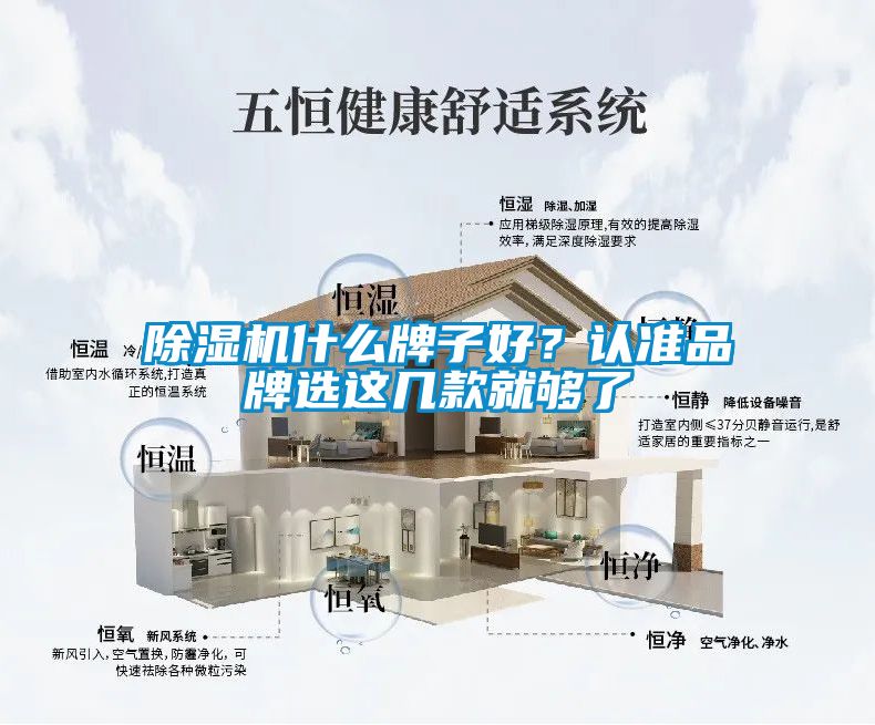 除濕機什么牌子好？認準品牌選這幾款就夠了